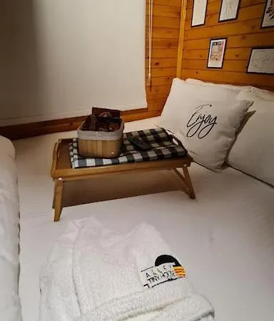 Alley Tiny House * Φετιγιέ