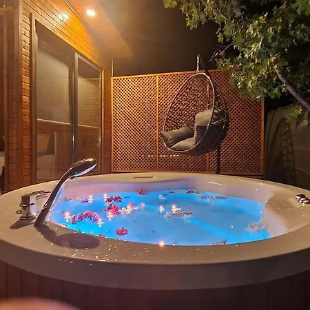 Alley Tiny House Villa