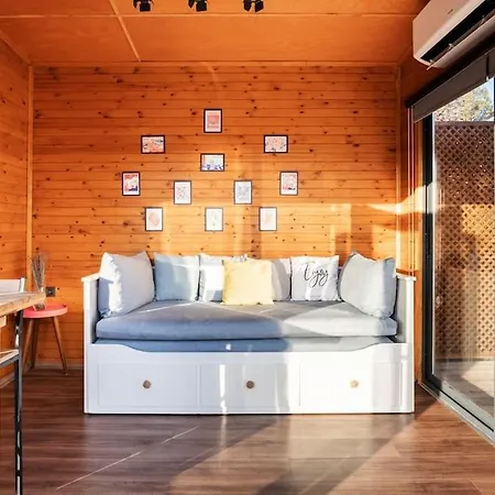 Alley Tiny House