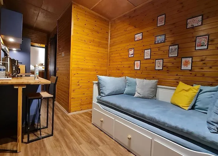 Alley Tiny House 费特希耶