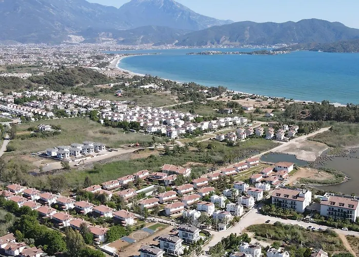 Alley Tiny House 别墅