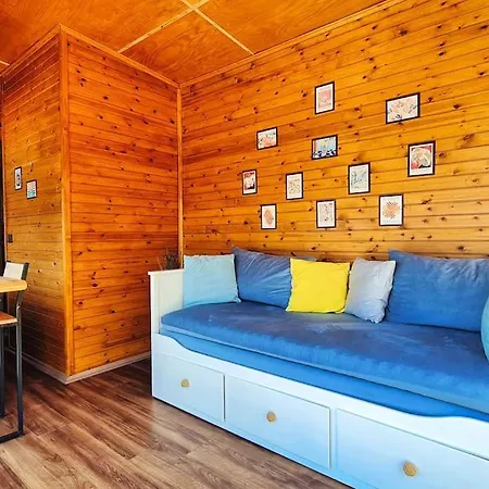Alley Tiny House *